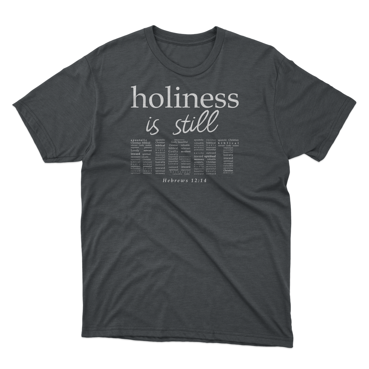 HOLINESS IS STILL RIGHT TEE