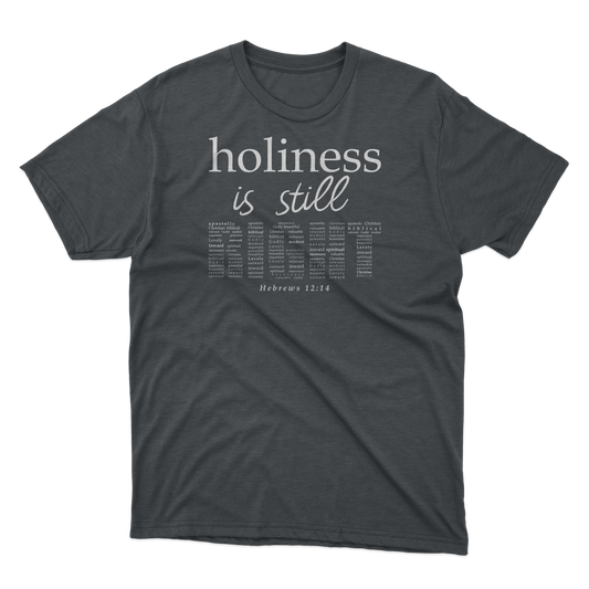 HOLINESS IS STILL RIGHT TEE